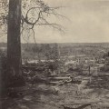 The Changing Political Landscape of North Central Georgia